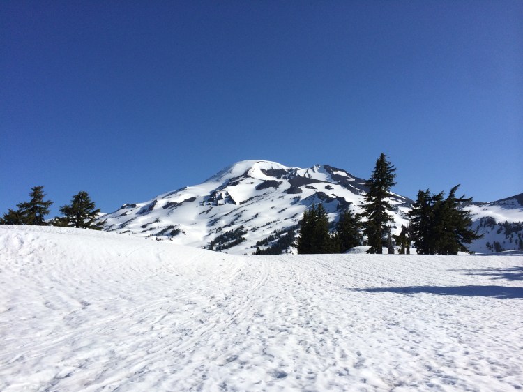 2014-05-31 08.11.19.jpg