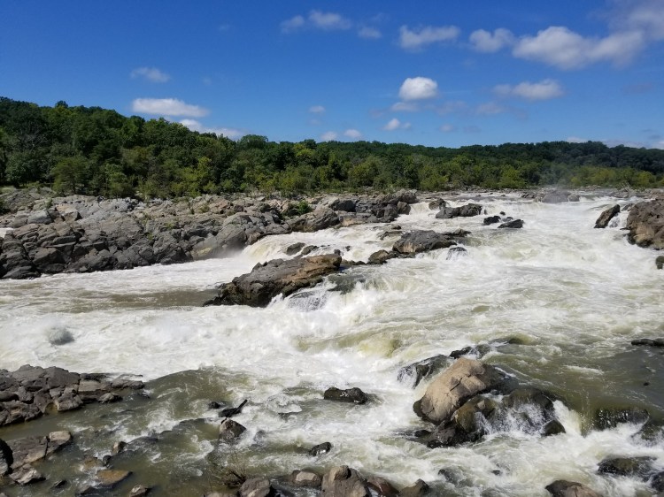 Copy of 20180902_131339