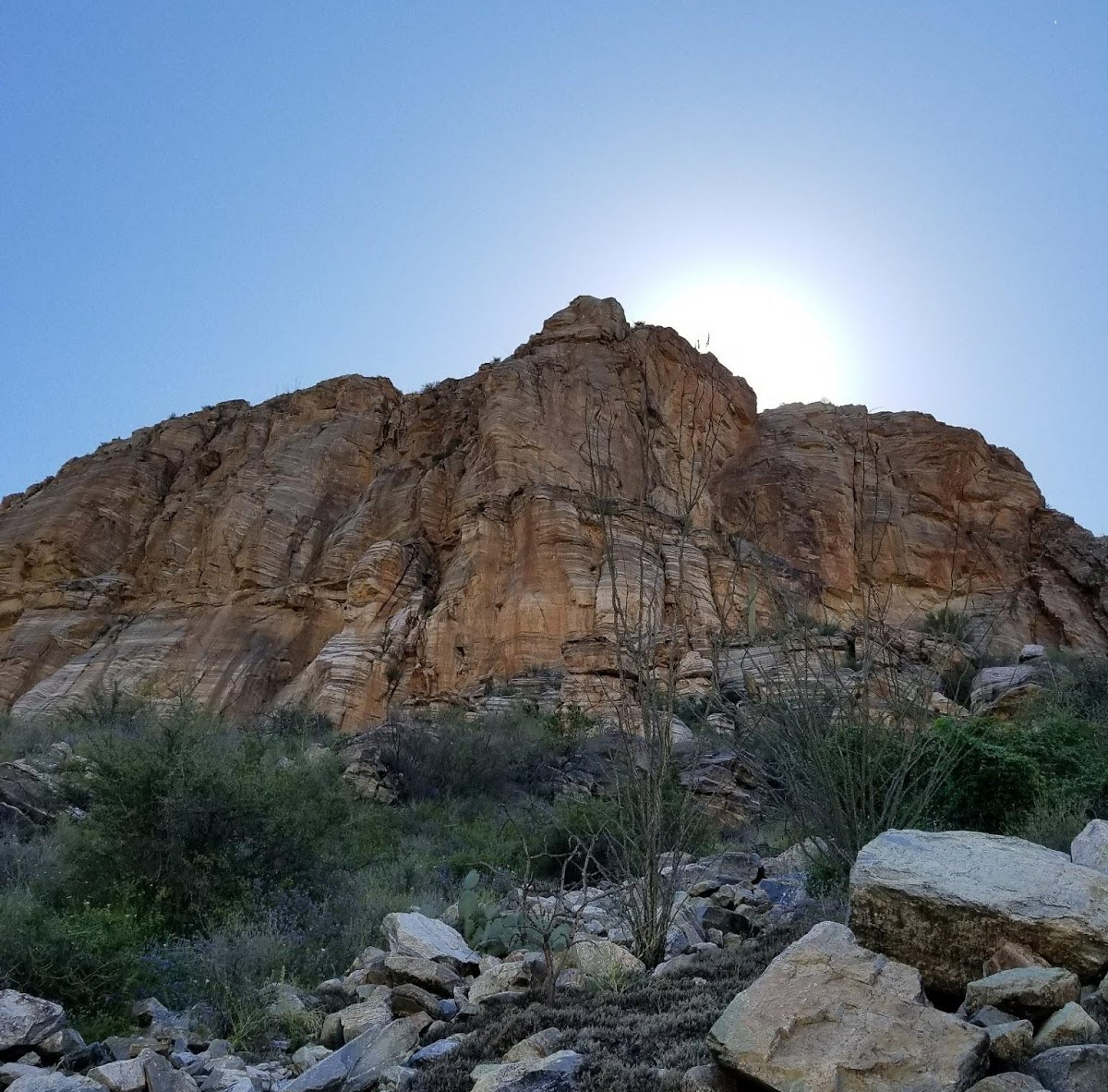 AF1QipNUZmOXXfyD-7UmX02kgMikG1IJ7l78cY3fyWGl=w1536-h2048